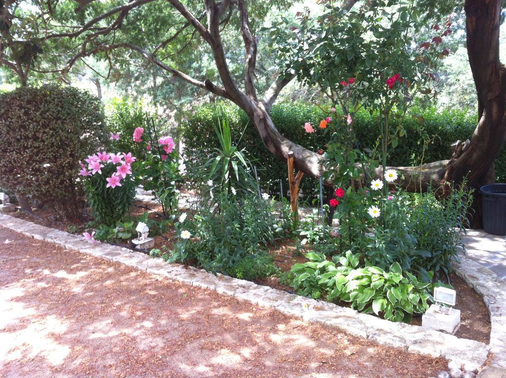 Villa Elofred Saint-Florent  Camera foto