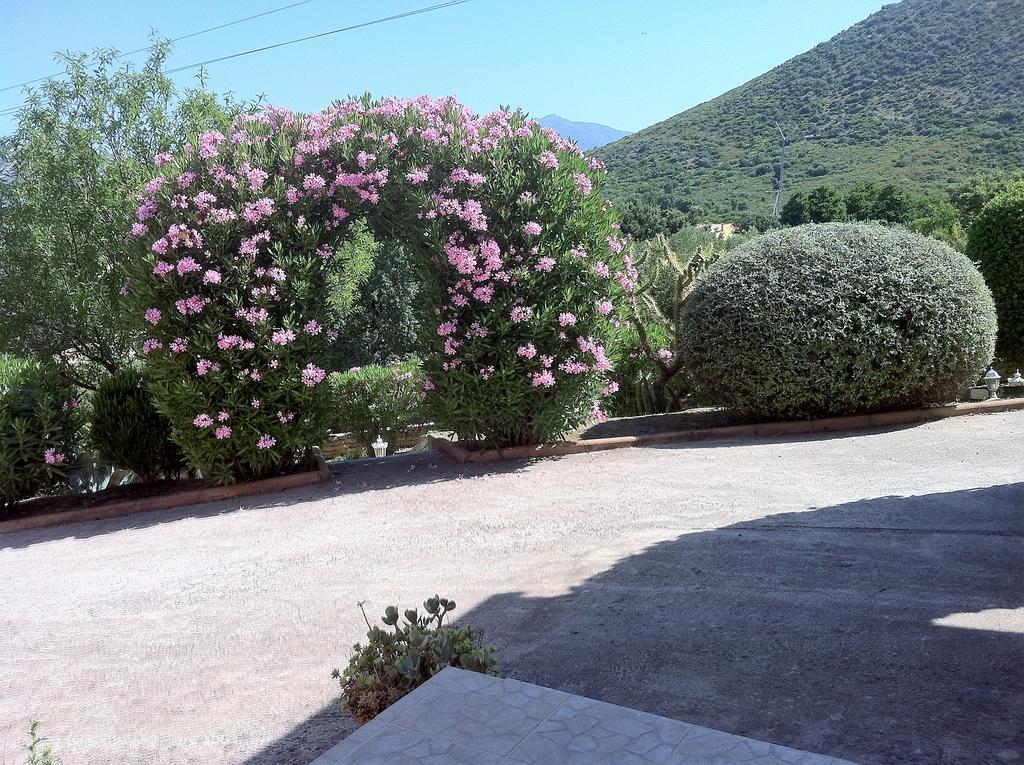 Villa Elofred Saint-Florent  Esterno foto