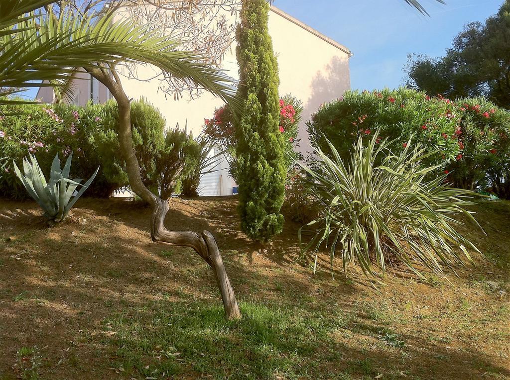 Villa Elofred Saint-Florent  Esterno foto